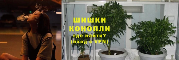 ПСИЛОЦИБИНОВЫЕ ГРИБЫ Аркадак