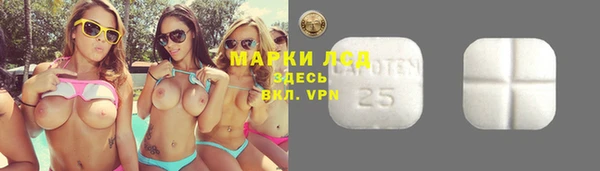 ПСИЛОЦИБИНОВЫЕ ГРИБЫ Аркадак