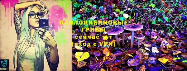 шишки Армянск