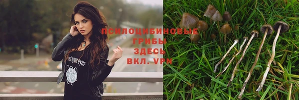 ПСИЛОЦИБИНОВЫЕ ГРИБЫ Аркадак