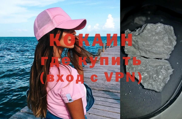 шишки Армянск